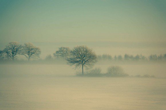 Winter Fog von Daniel Vesterskov