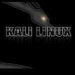 Kali Linux Rolling 2016.1 – Erste Version der rollenden Distribution