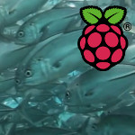 Raspberry Pi (Raspbmc) – Video: Full HD von Samba, NFS, SD-Karte und USB-Stick