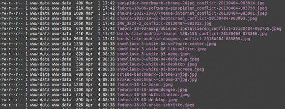 Auch ownCloud 5.0.3 und Sync-Client 1.2.1 produzieren _conflict-Dateien