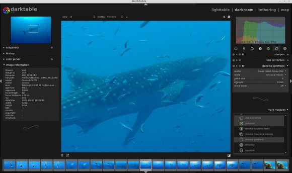 Darktable 1.2: Denoise (profiled)