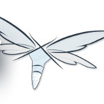 JBoss AS heißt nun WildFly!