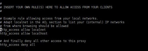 Squid: http_access allow localnet