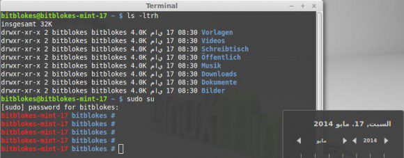 Linux Mint 17: automatische Spracherkennung