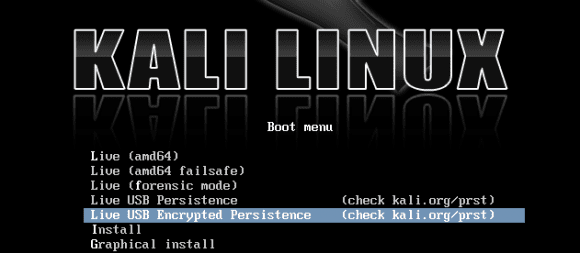 Kali Linux: Persistent Boot (Quelle: kali.org)