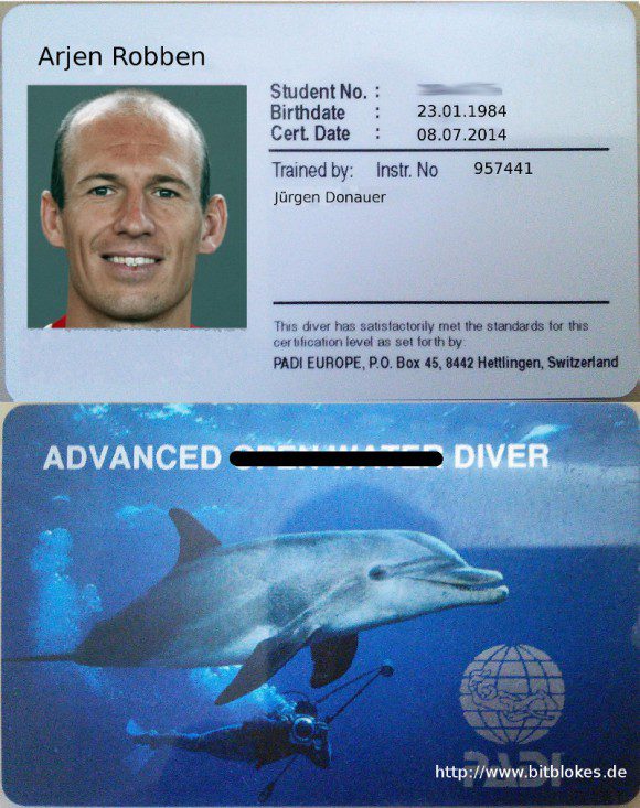 Robben: Advanced Diver