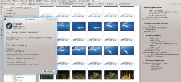 digiKam 4.3: Oberfläche