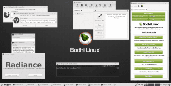 Bodhi Linux 3.1.0 mit Moksha Desktop (Quelle: bodhilinux.com)