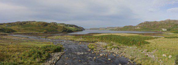 Fluss trifft Meer