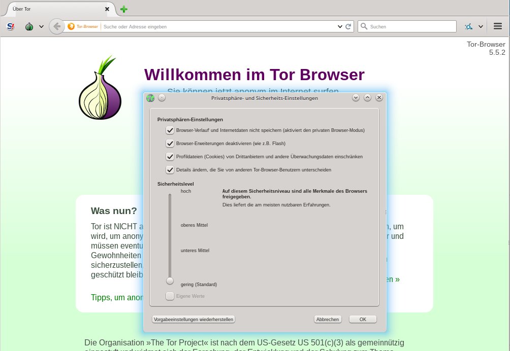 почему tor browser тормозит