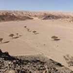 Wadi Marra mit vielen Akazien – 360° Panorama – in der Nähe des Katharinenklosters