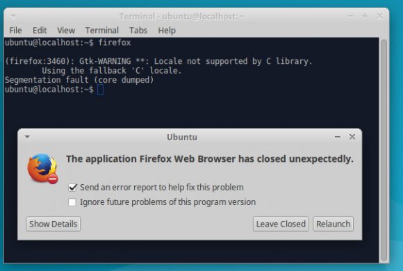 Firefox Crash