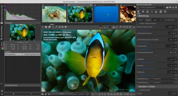 RawTherapee 5.1 im Einsatz