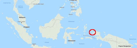 Raja Ampat is in the red circle
