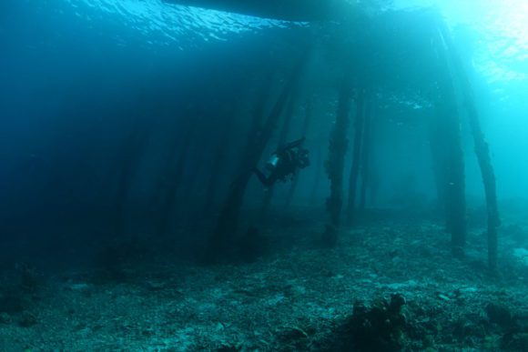 UW photographer under the jetty