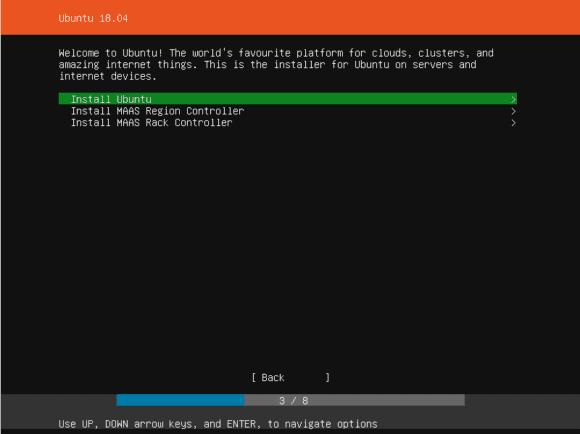 Ubuntu Server 18.04 Installer - Was willst Du installieren?