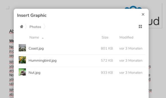 Bild direkt von der Nextcloud einfügen