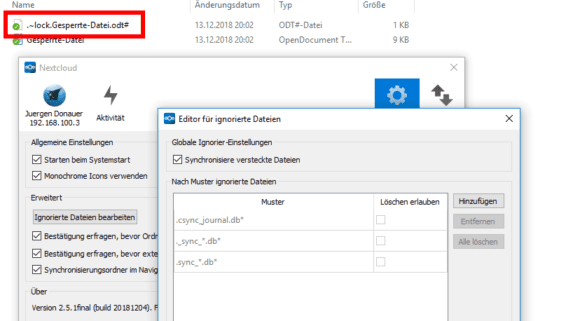 Die versteckte Lock-Datei wurde in die Nextcloud hochgeladen!