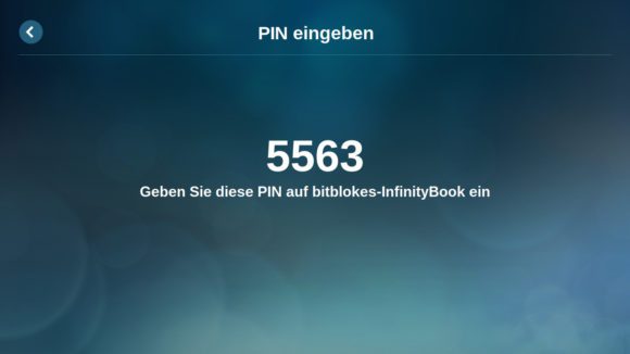 PIN eingeben