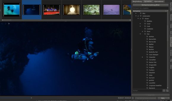 Die Video-verwaltung bei digiKam 6.0.0 ist viel besser geworden
