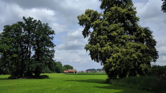 Raus aufs Land und in einer Ferienwohnung den Urlaub genießen!