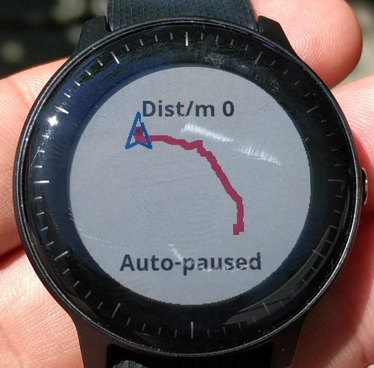 garmin dwmap