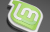 Upgrade auf Linux Mint 19.2 Tina – von 19 oder 19.1 – Schritt für Schritt
