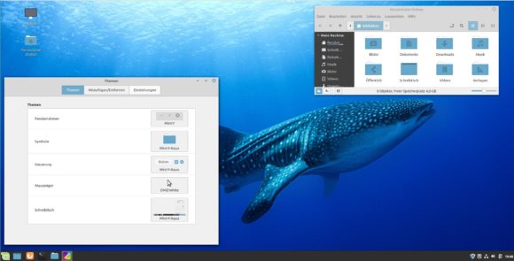 Walhai und Mint-Y-Aqua bei Linux Mint 19.2