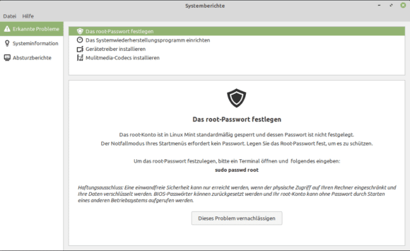 Systembericht: Linux Mint 19.3 hat ein paar Probleme gefunden