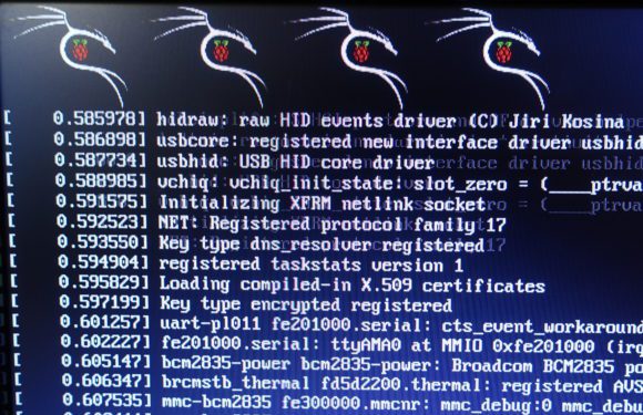 Kali Linux bootet auf dem Raspberry Pi