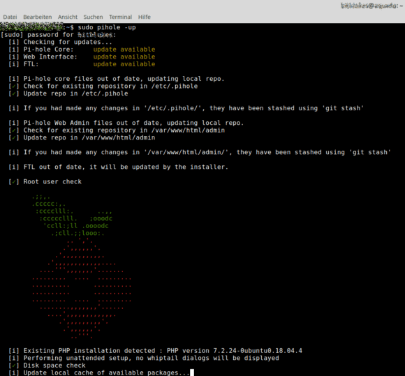 Upgrade auf Pi-hole 5.0