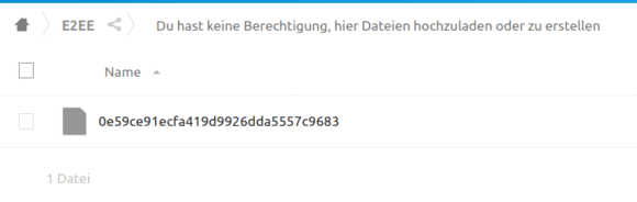 Mit E2EE verschlüsselt – keine Ahnung, was für eine Datei das ist