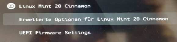 Erweiterte Optionen für Linux Mint 20 Cinnamon