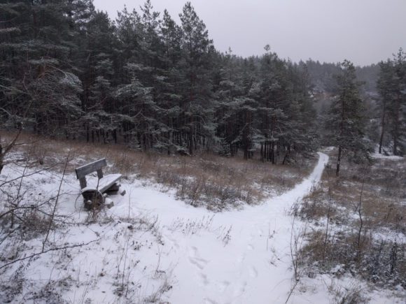 Joggen im Winter hat durchaus seinen Reiz