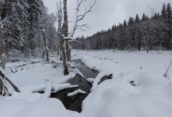 Teilweise zugefrorener Weiher