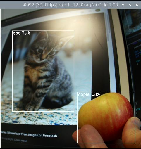 Libcamera-detect erkennt Katzen, Äpfel und so weiter (Quelle: www.raspberrypi.com)