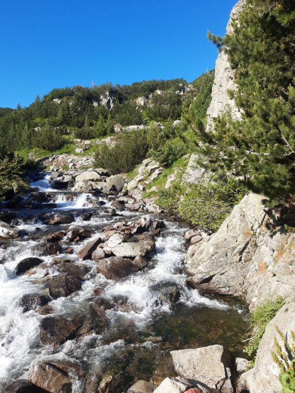 Toller Fluss – sehr beruhigend