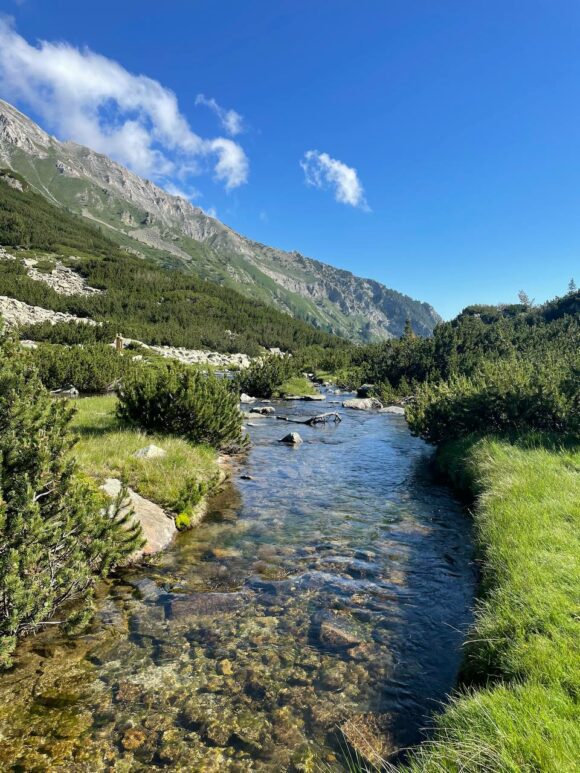 Glasklares Wasser