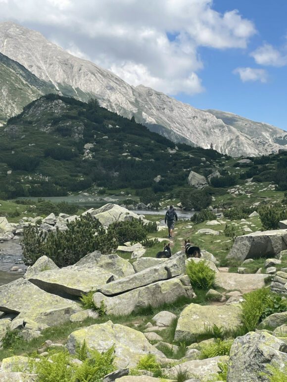 Wandern im Pirin Nationalpark