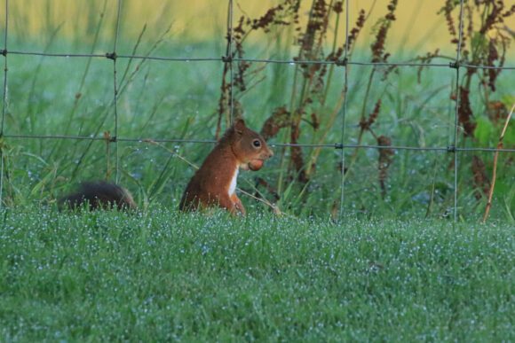 Müffe? Welche Müffe?