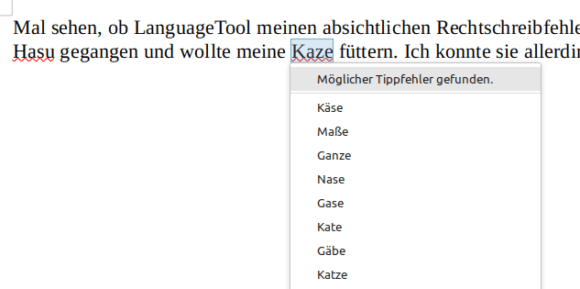 Haus und Katze falsch geschrieben – Rechtschreibprüfung von LanguageTool funktioniert