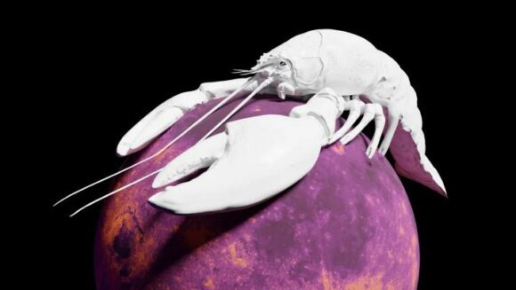 “Lunar Lobster” light – @gixo
