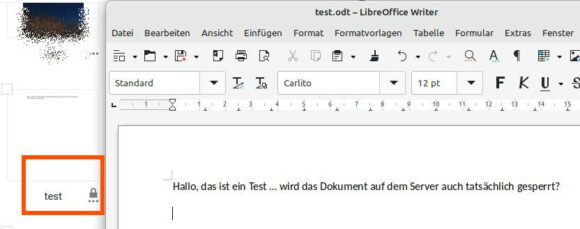 Das Office-Dokument wird auf dem Server gesperrt