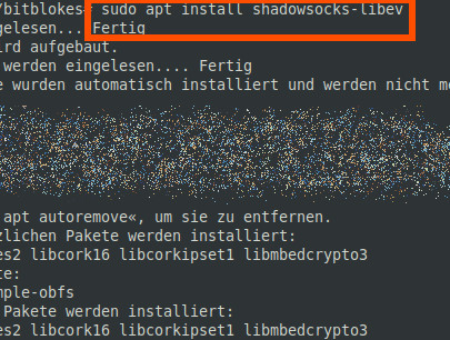 Shadowsocks Server installieren