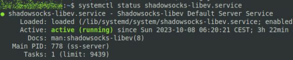 Der Shadowsocks Server läuft und wartet auf Verbindungen