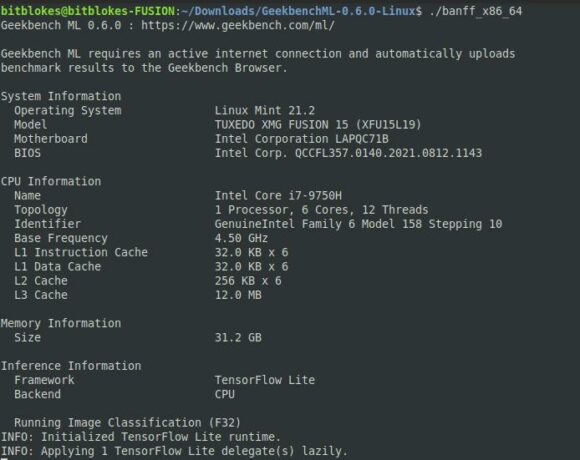 Geekbench ML 0.6 läuft unter Linux